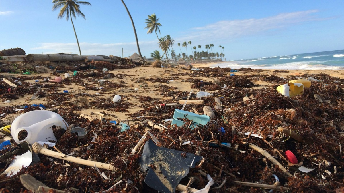 5 Sad Facts About Global Warming