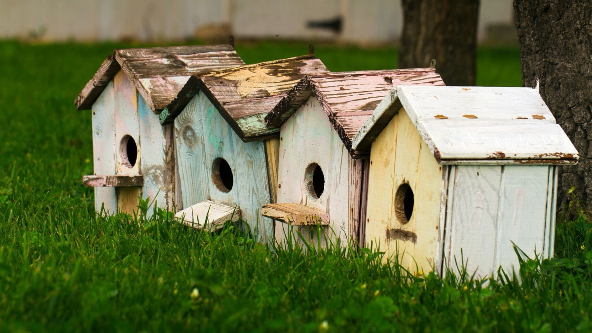 5 Tips For Building The Perfect Birdhouse