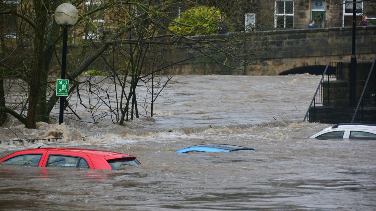 5 Sad Facts About Global Warming