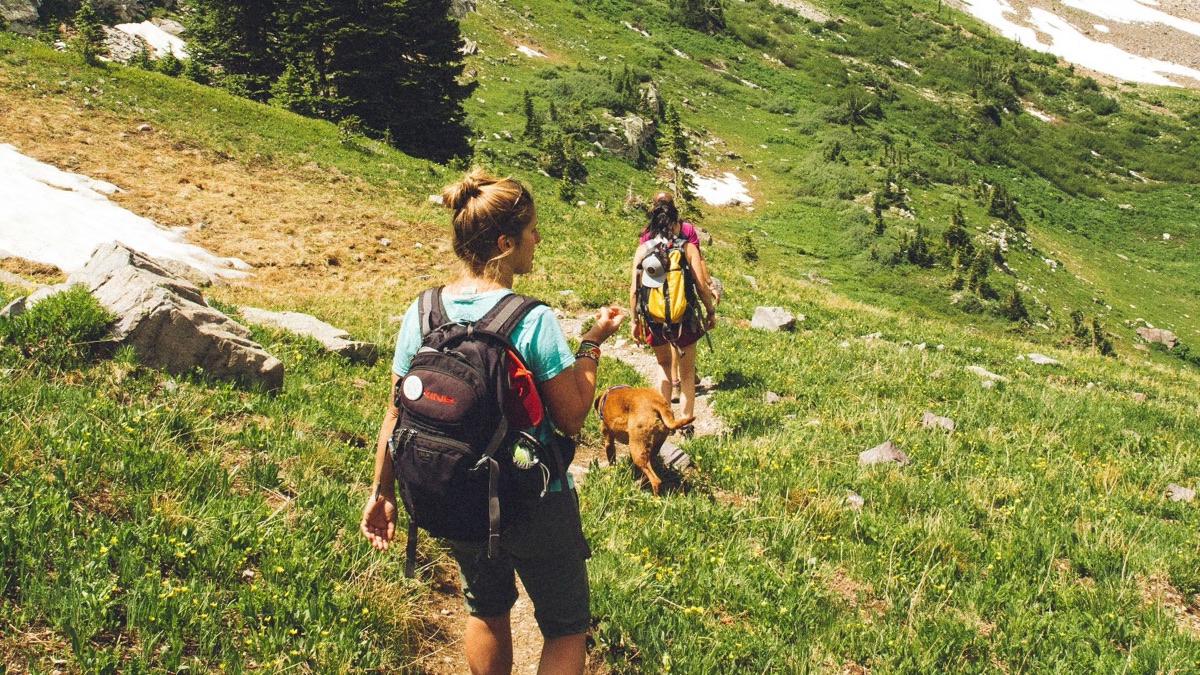 5 Ways To Appreciate Nature More