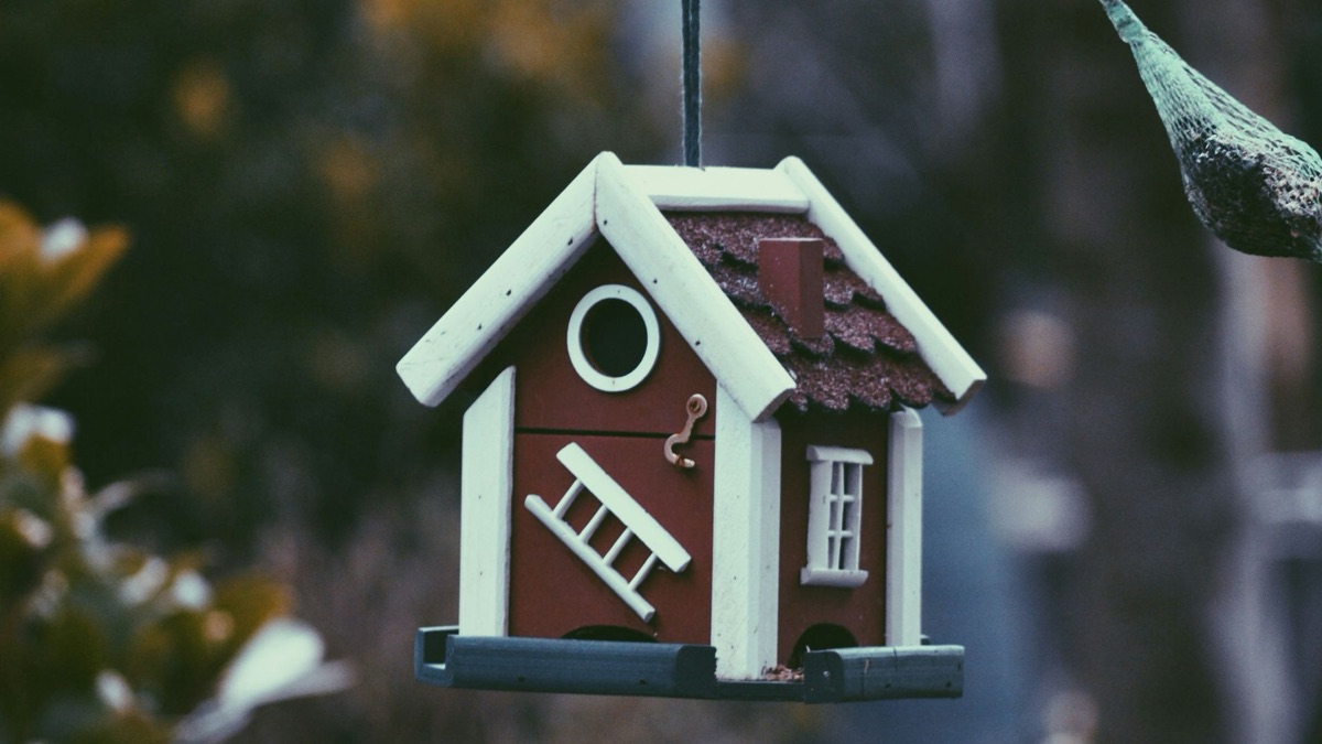 5 Tips For Building The Perfect Birdhouse