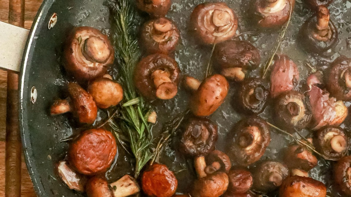 5 Tips For Foraging Food In The Wild